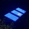 RGB DIGITAL LIGHT WALLS - Image 2