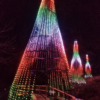 RGB Trees - Image 8