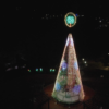 RGB Trees - Image 7